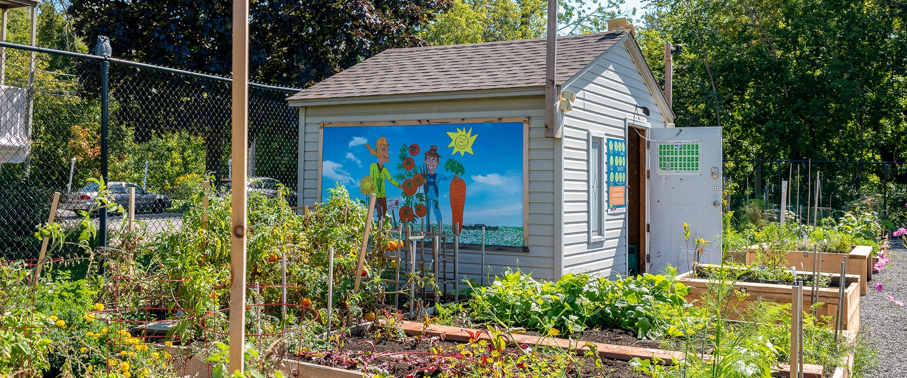 Cabanon sur lequel une peinture composée de deux personnages tenant des légumes est accrochée. Autour se trouvent des bacs de jardins avec des plants qui poussent.