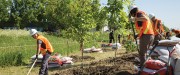 Dans un champs à l'extérieur, des travailleurs portant des dossards oranges creusent avec des pelles dans la terre pour planter des pousses d'arbres