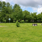 À l'extérieur, grand espace gazonné vert avec des bacs à fleurs et de bancs en bois