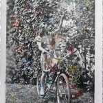 Jeune fille en noir et blanc sur un vélo vintage superposée de traits en forme de fleurs colorées