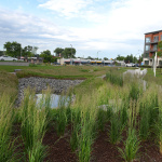 À l'extérieur près de commerces et d'un bâtiment de condos, espace gazonnés avec un petit étang et des plantes aménagées autour