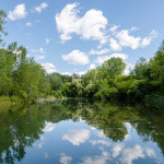 Cours d'eau entourée d'arbres verts sous un ciel bleu avec des nuages