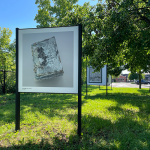 Série de panneaux installés dans un parc sur lesquelles se trouvent des œuvres de l'artiste Sébastien Cliche.