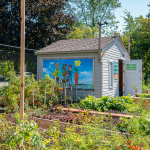 Cabanon sur lequel une peinture composée de deux personnages tenant des légumes est accrochée. Autour se trouvent des bacs de jardins avec des plants qui poussent.