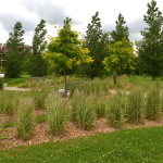 À l'extérieur, arbres et plantes aménagés recouvrent un terrain gazonné qui est entrecoupé d'un sentier piéton et des bancs de parcs
